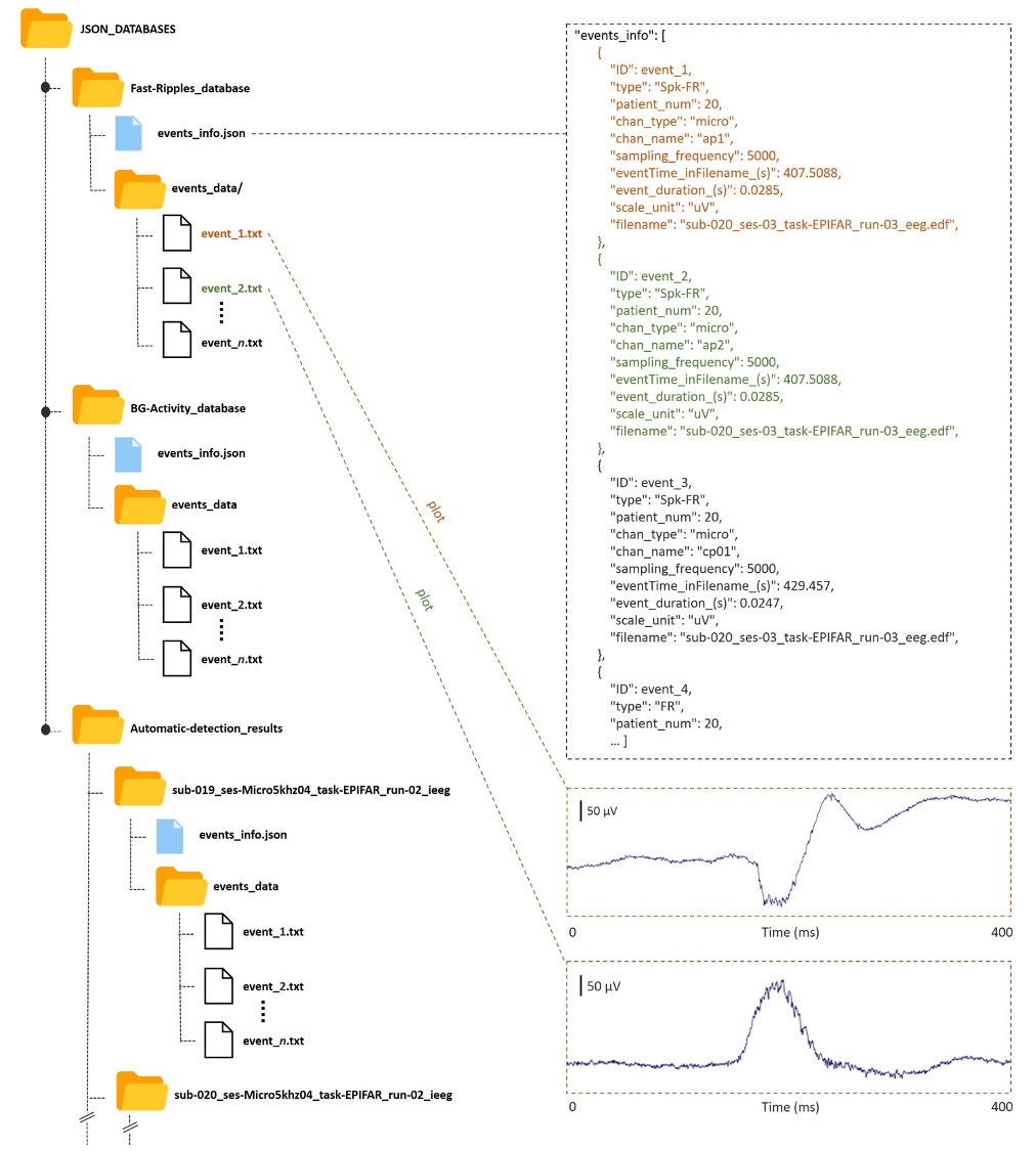Architecture BDD - Données médicales hétérogènes