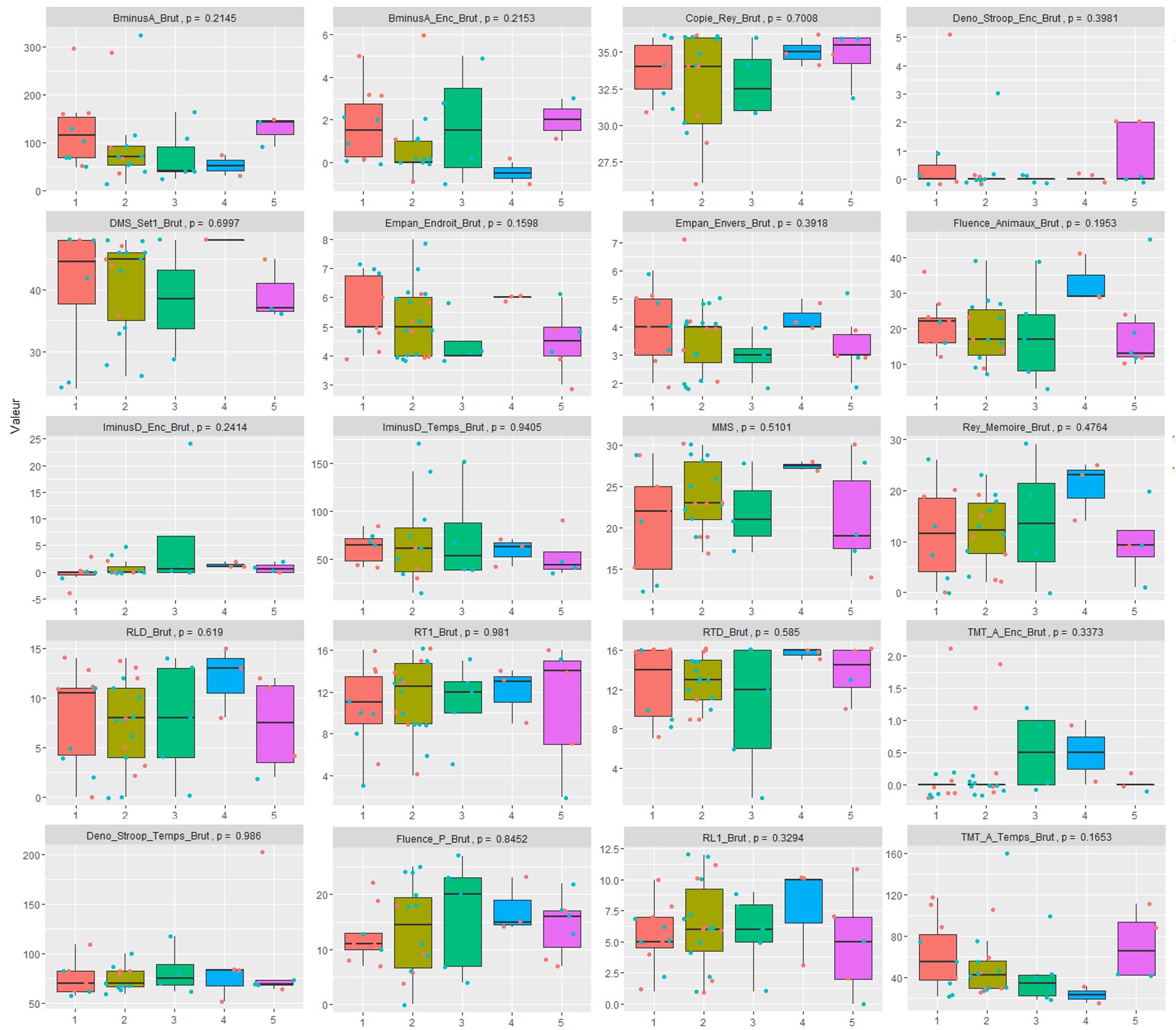 Déclin Cognitif - Modélisation prédictive multifactorielle